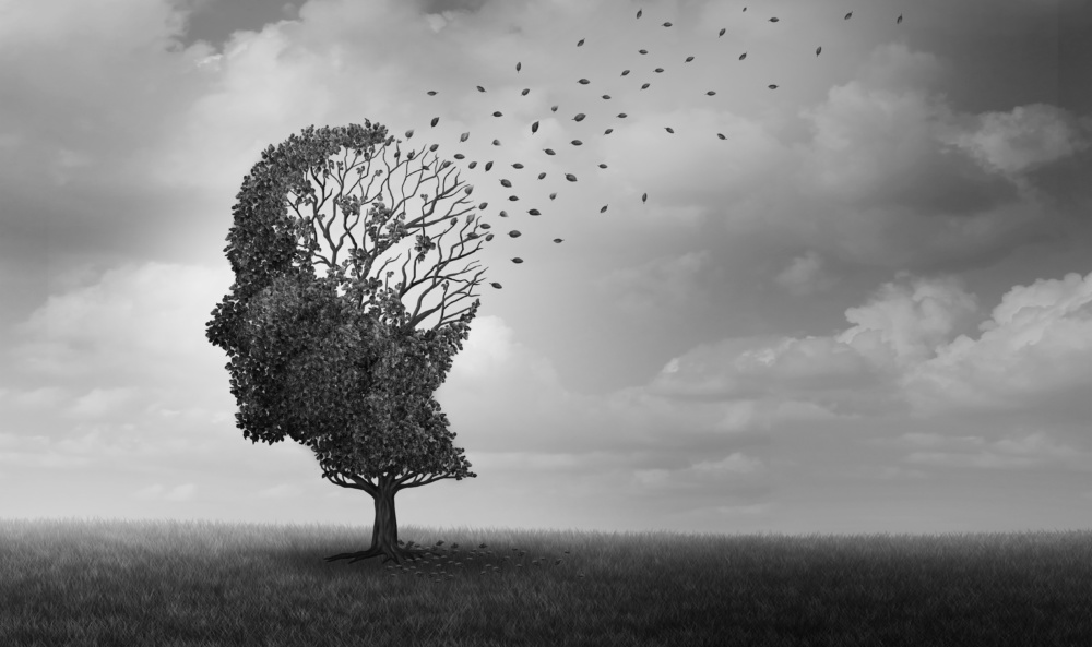 Rehabilitation and Alzheimer’s Disease